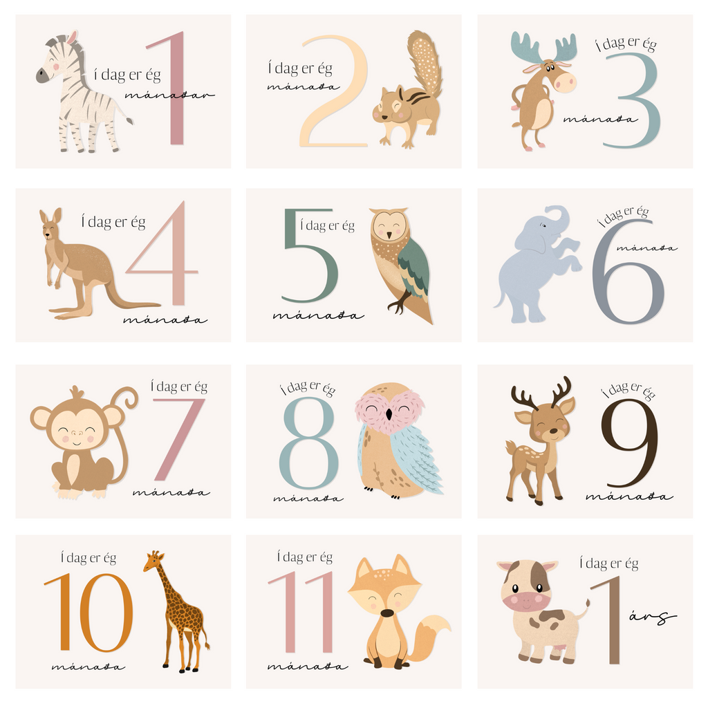 Animal Monthly Cards | Colorful