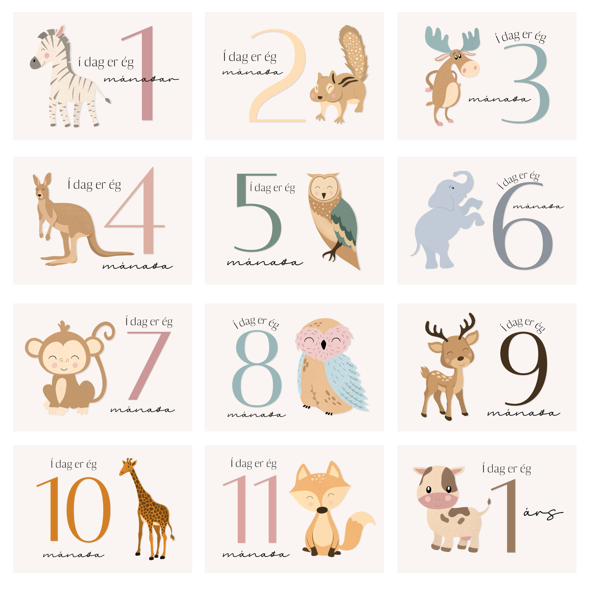 Animal Monthly Cards | Colorful