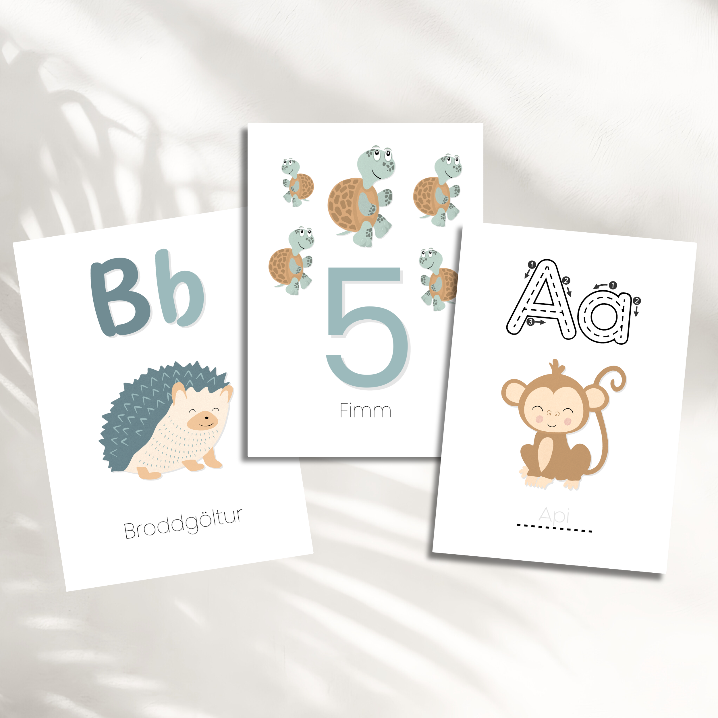 Alphabet and Numbers Cards