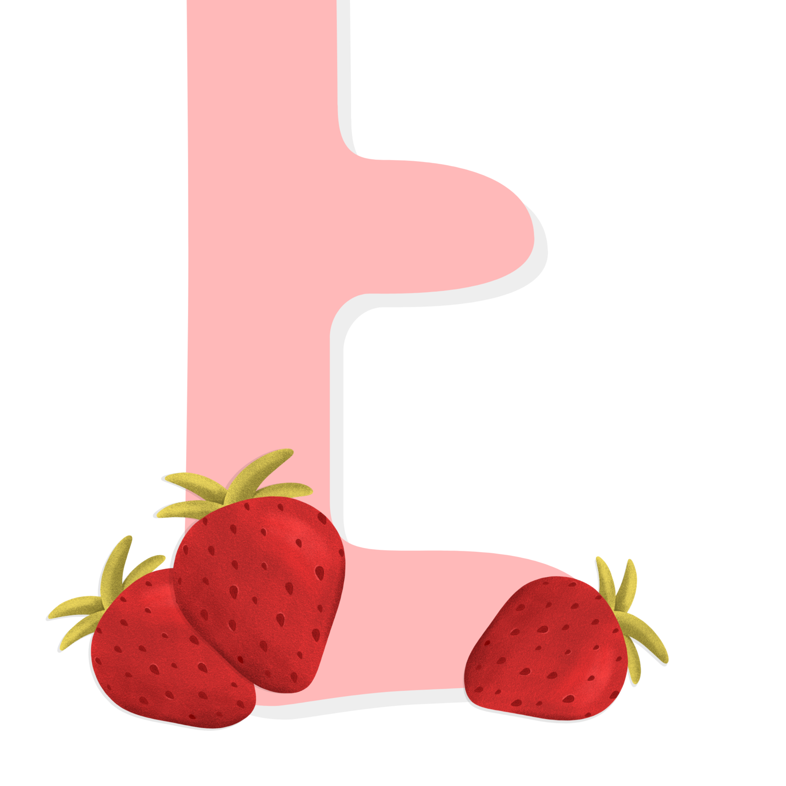 Letra de fresa y detalles de nacimiento | Rosa