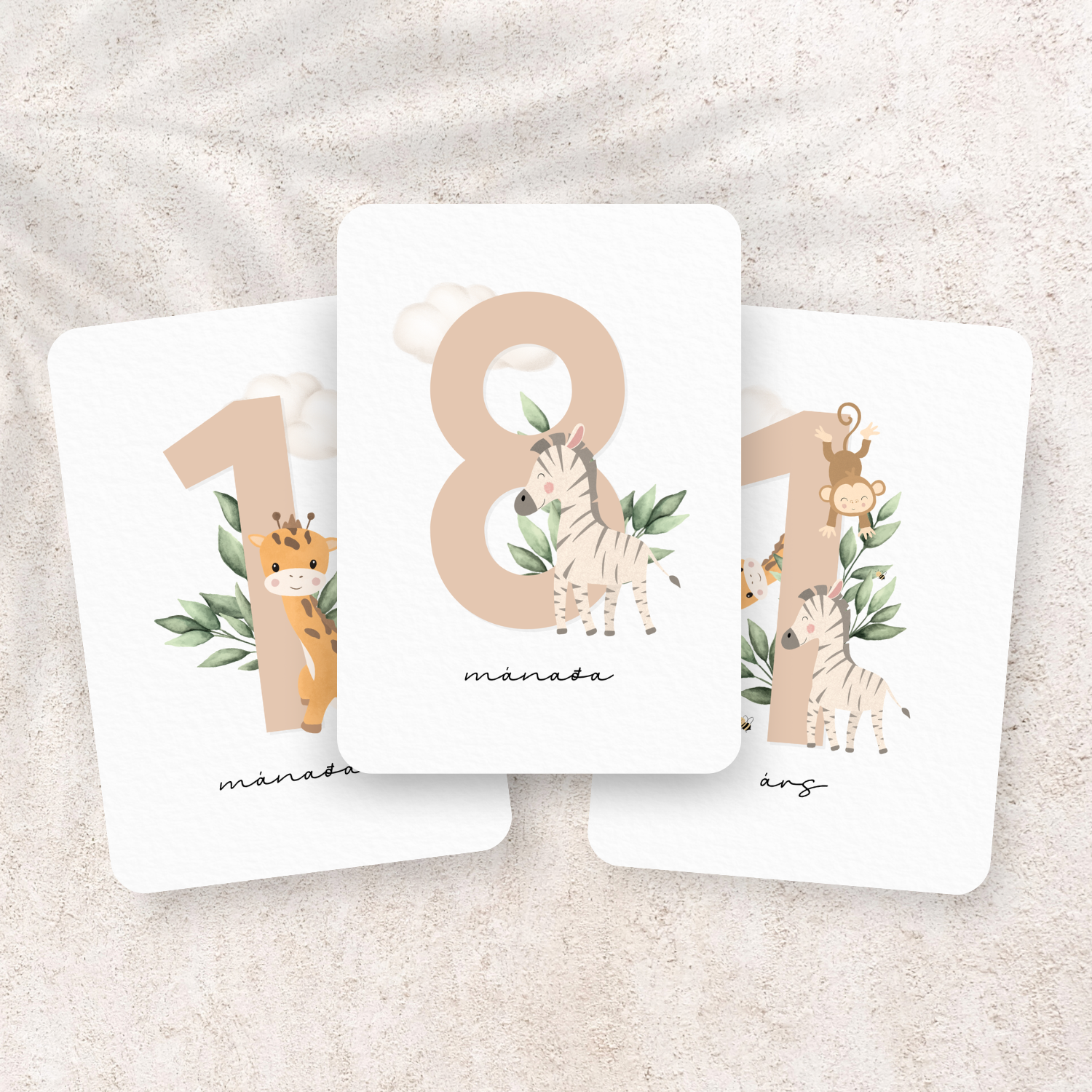 Safari Monthly Cards