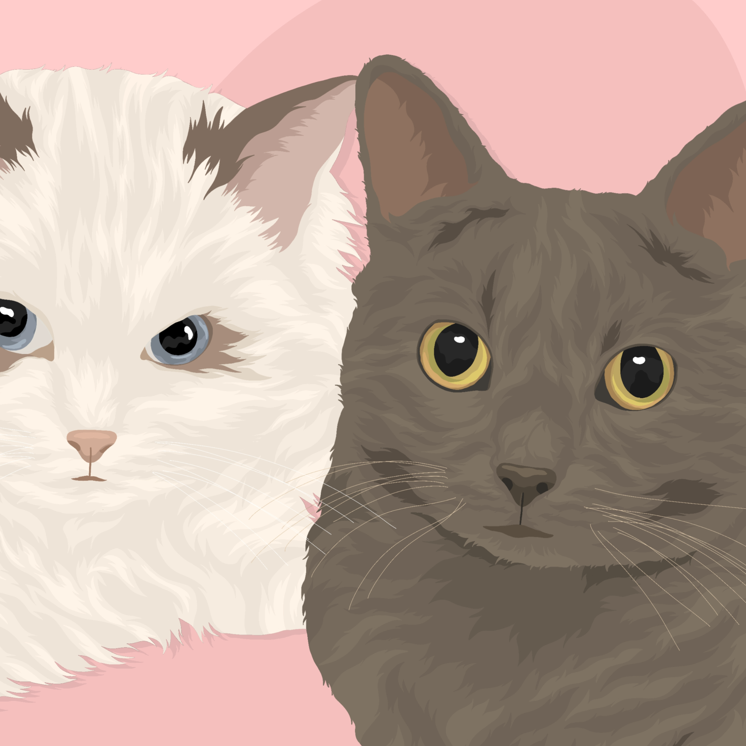 Personalised Pet Illustration