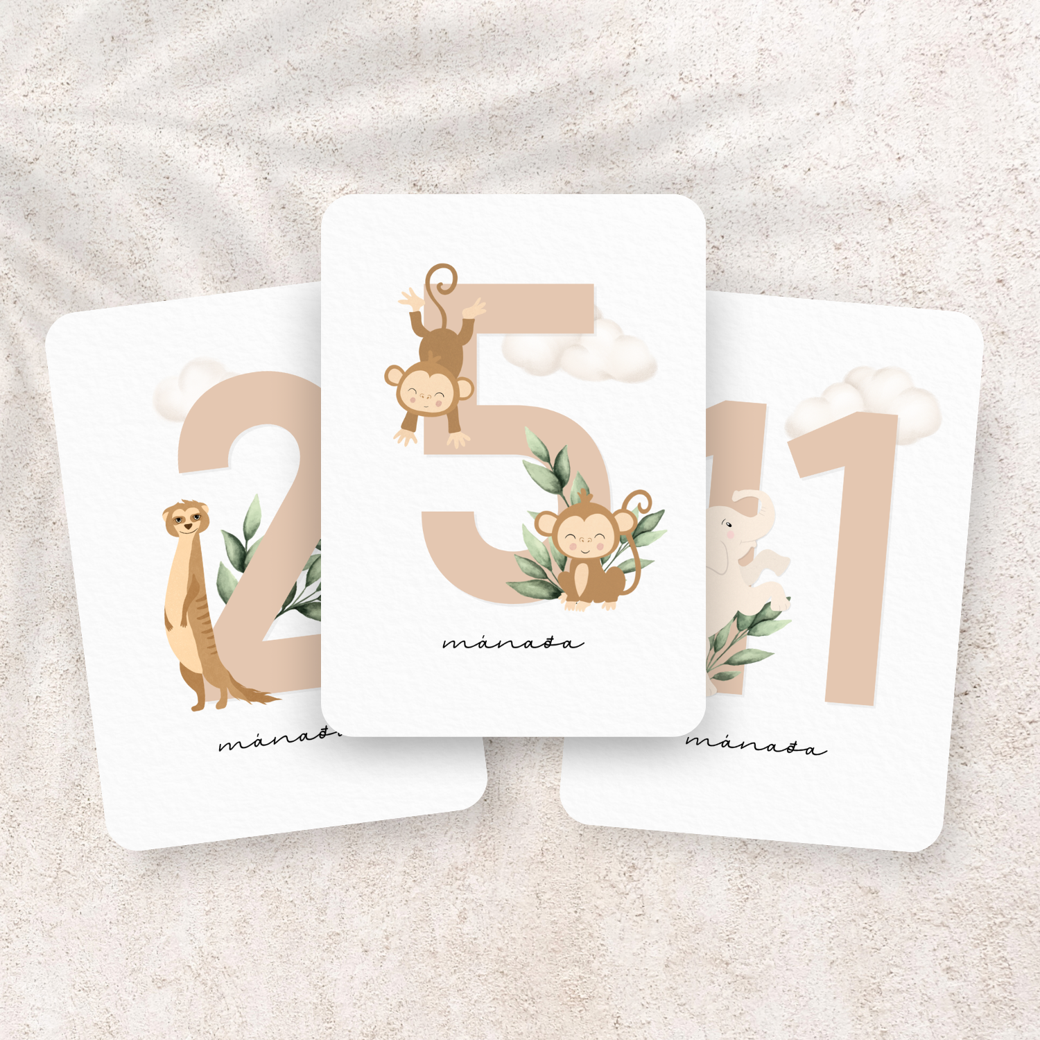 Safari Monthly Cards