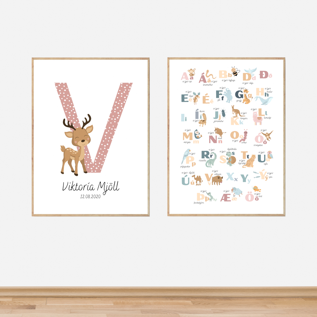 Animal Alphabet Light