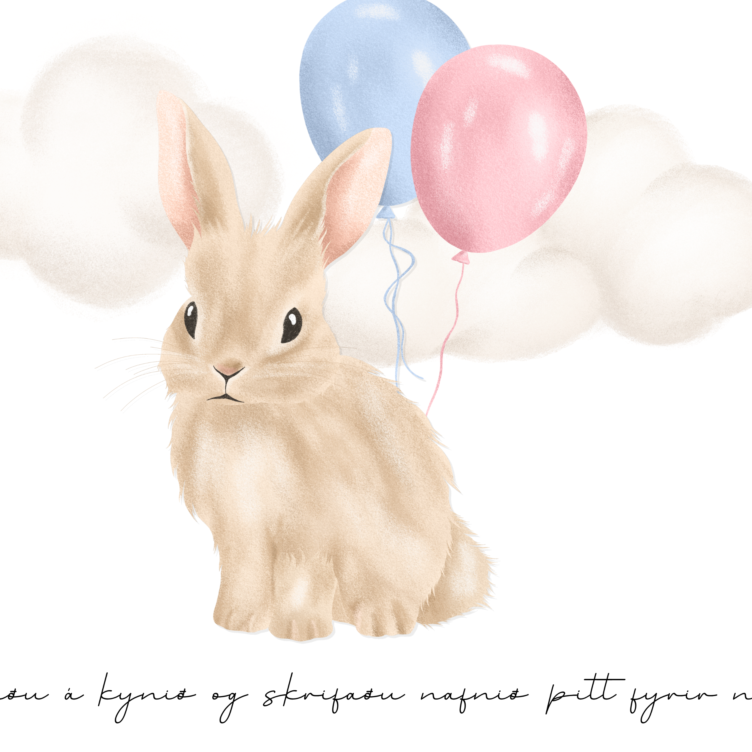 Kanínu Giskaðu Kynið Spjald