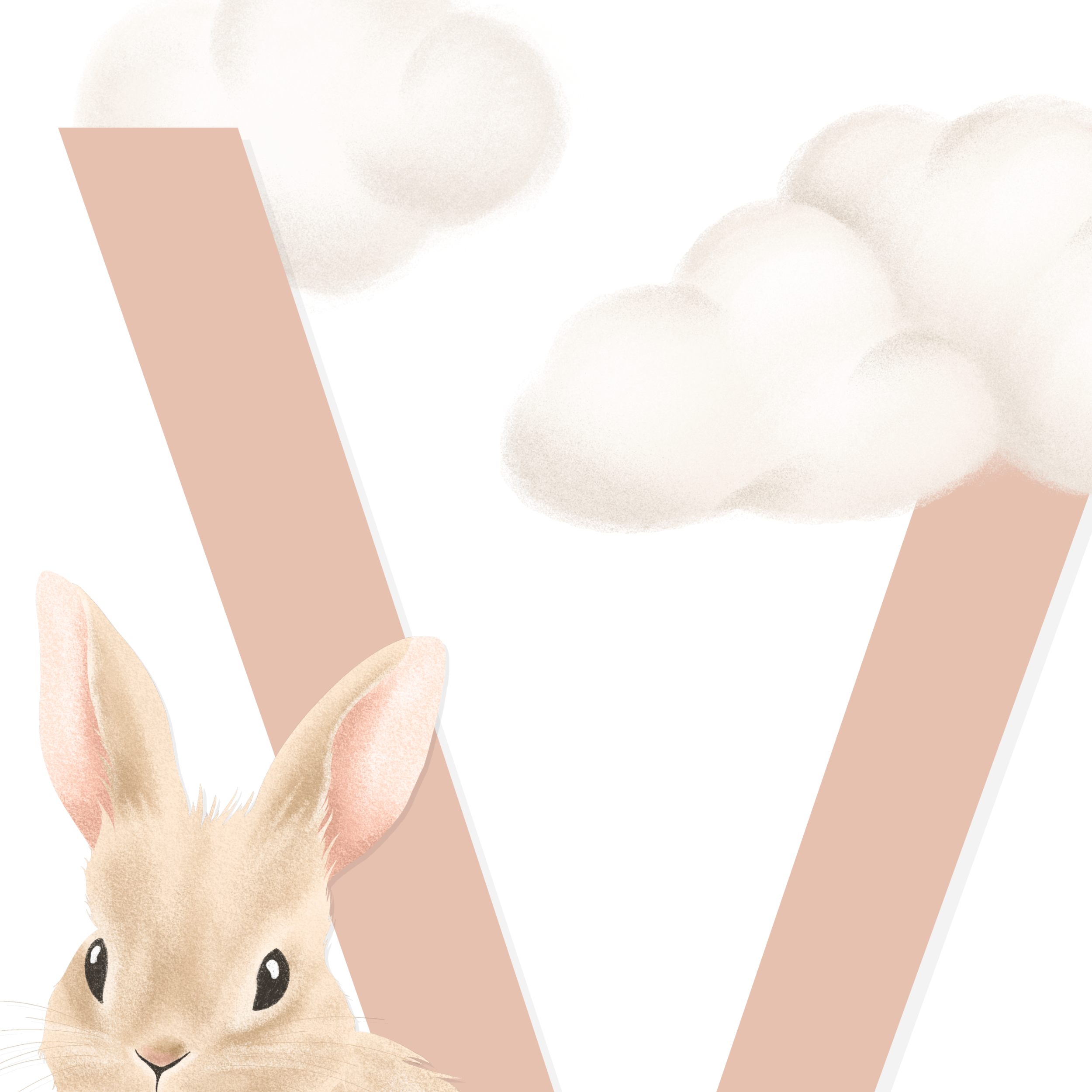 Kanínu Stafur & Fæðingardagur