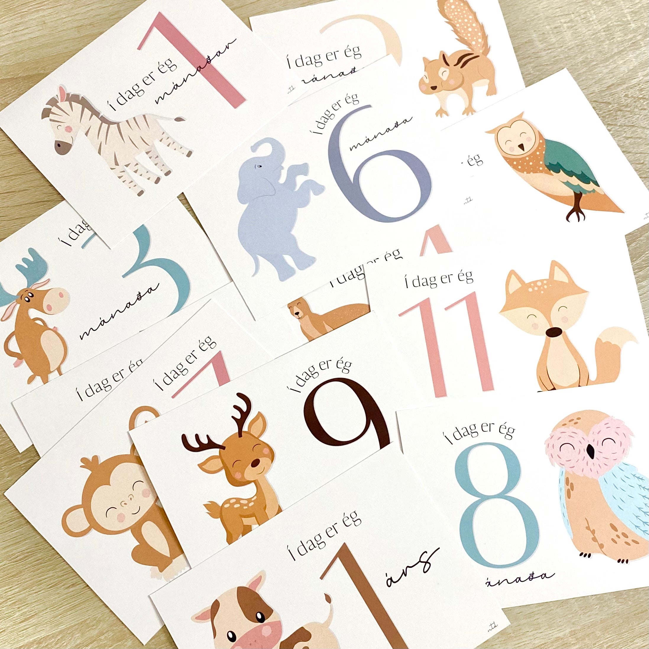 Animal Monthly Cards | Colorful