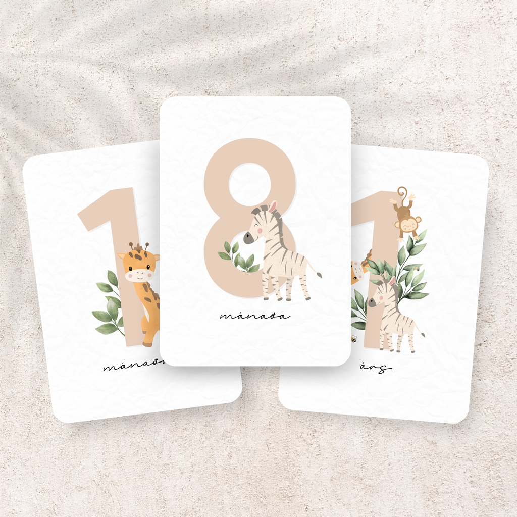 Safari Mánaðarspjöld