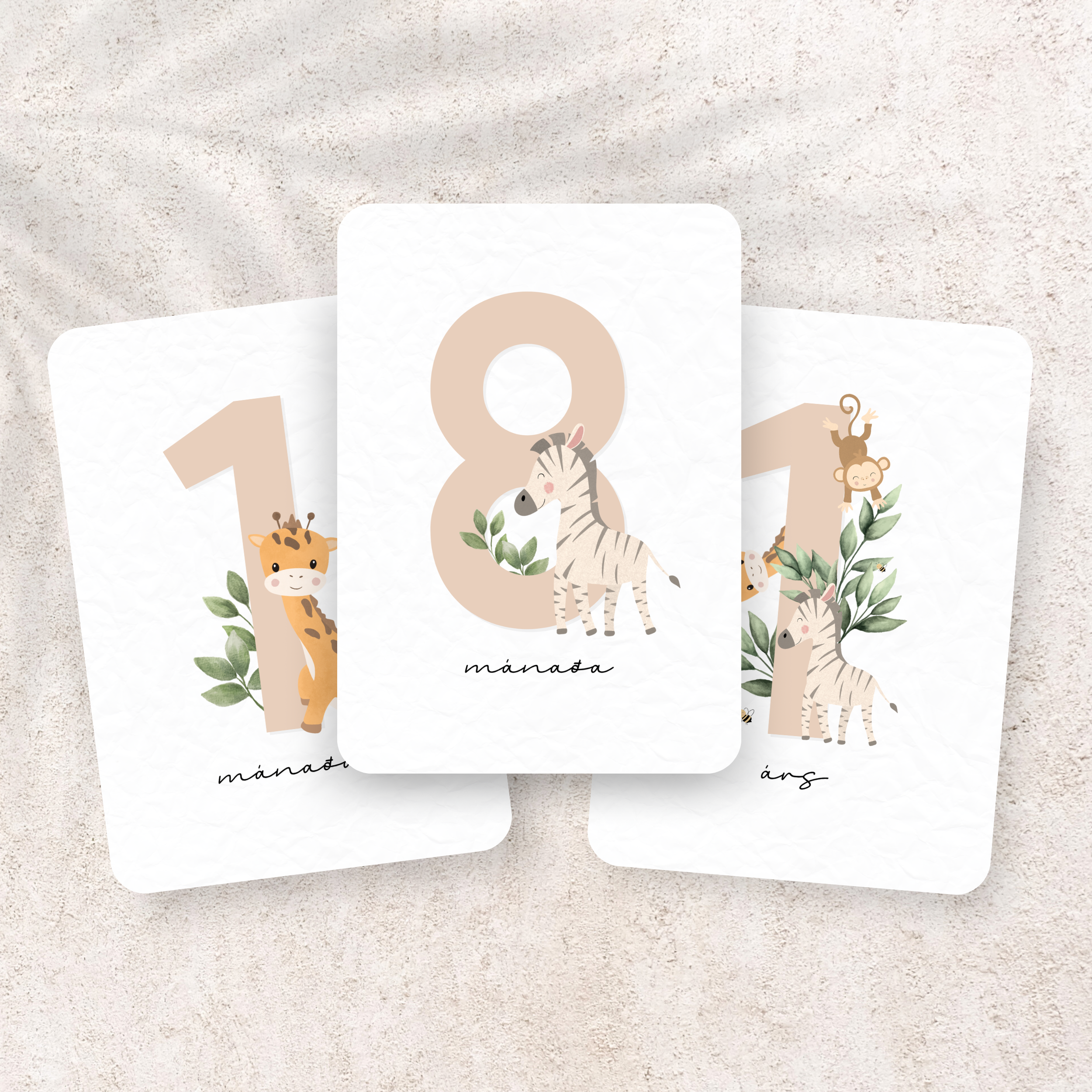 Safari Mánaðarspjöld