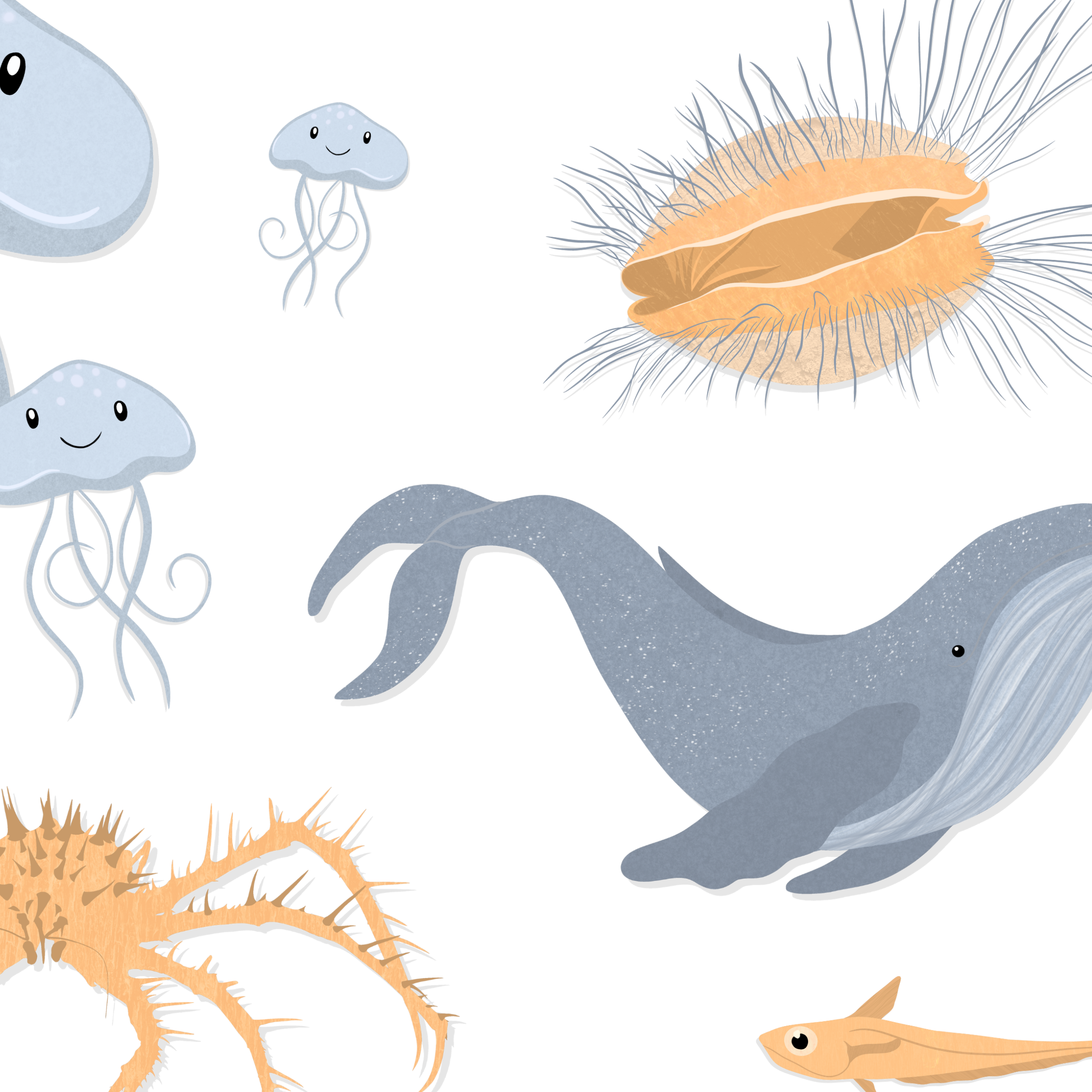 Animales del océano