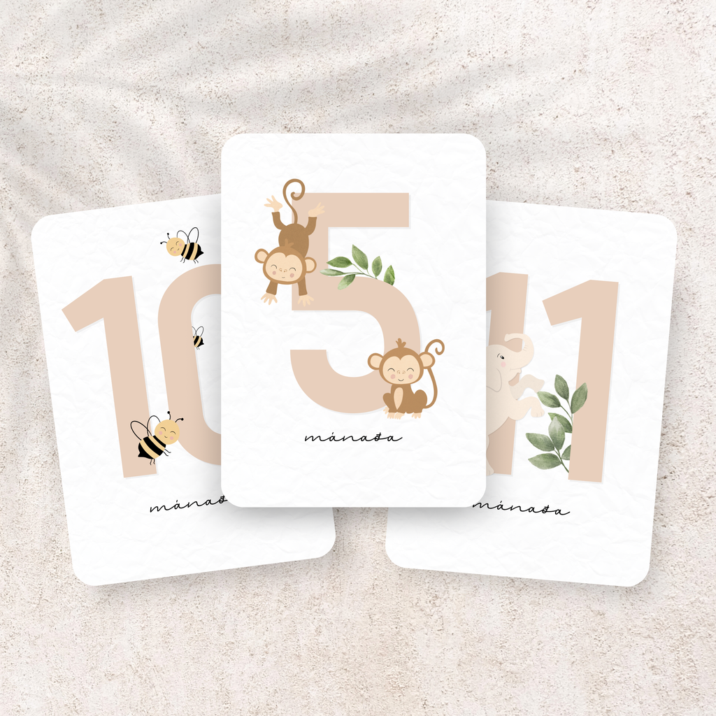 Safari Mánaðarspjöld