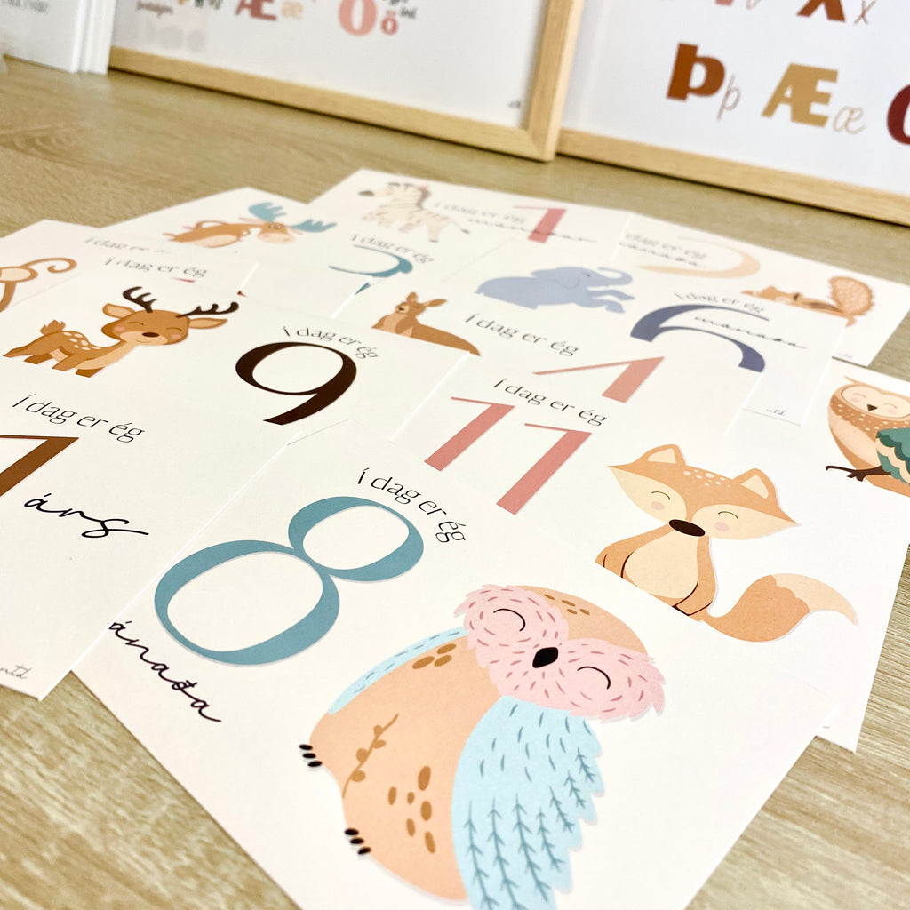 Animal Monthly Cards | Colorful